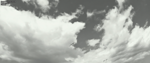 e8490361d16d97e4a3765d63c2736805.png