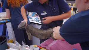 e47193510dbe2bccad33f02186d72f11.png