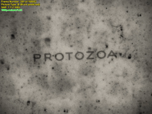 1a5ce0a187b27bffc4a32968a2c883d2.png