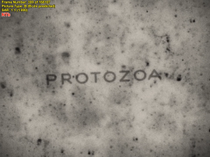 29e02704471e96d44154d41eb9008f7d.png