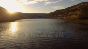 bdf5aef0a778cc961f9ce38d4fd9f9bb.png