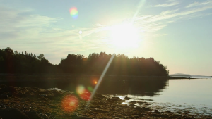 3c85ef4d14f399abaa935ac394b6b168.png