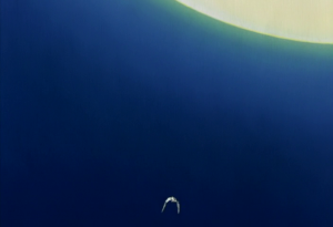 fc6a855b9566cadcb521936f2c42a613.png