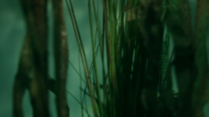 a79c7e47c018dd12d045bd0180ba8d06.png