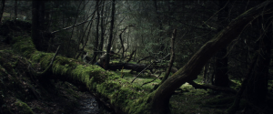 f4156c3da6311e2b50fc6dd3930b0445.png