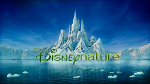 4a64be033bd4d571e85c494d938f4bfc.png