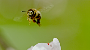 b7b58447946028ec31b76aa8af42bfb5.png