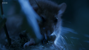 c6b3bfc7de245c9ea822b49a3c4e948a.png