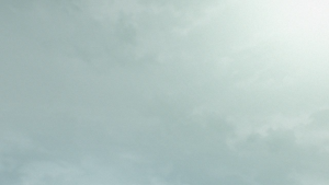 c94d3a7ce854f360f911cdcda35b4ff2.png