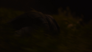 95c70e91b06f240cf4363b6439c774cf.png