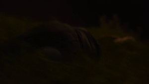 9d0adca83afad25a40a4929f0edeb4e7.png