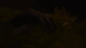 b38917c894d1db084946b447dc950d08.png