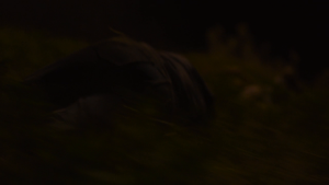 ca7d5e11df580343debadbef162c12cd.png