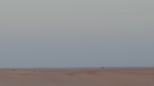54aa4f4fc1aee934804a1027cc4db585.png