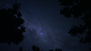 a17ef32131ea58f878b3e66102c4e8d3.png