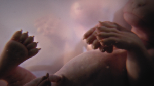 c353867fa91165366e2cb20e83eca0a3.png