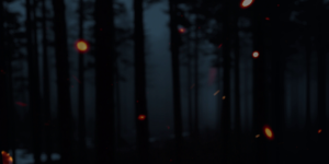 c822beee9032801564ea29445da5471b.png