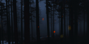 ee1c684c7d18182a845b1388ad8106fc.png
