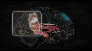 2458b775cdcd39a96a547e65bdbb745b.png