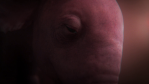 5797c467fd0f54f02969c3332becfb51.png
