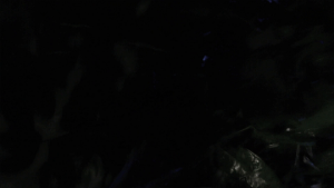 74a61d6047f0bf710c11eb58b8f23a65.png