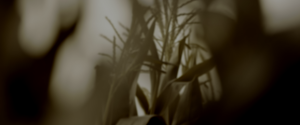 ba5f91a1809ffe94d4bfc17e59bced8f.png