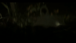 c4b7d242f28d34fb205fdf001c77f737.png