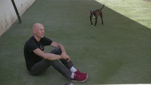 d7f75ae5e2c545860729f76a3d09d6a2.png