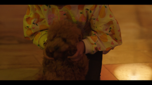c2fc52223077cd0d5d7703c05bf8ba8e.png