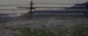 afcf92066cbf286d467362c3191dc5a8.png