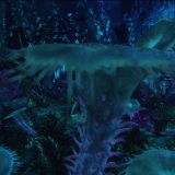 b4e61fefbc5a34477eaea01d5060b58d