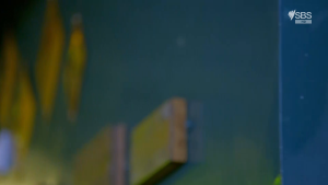 dd199c5a6f08a36189d971e76e86ea6f.png
