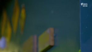 05ab22f4000d6ec4ae20736b249877e8.png