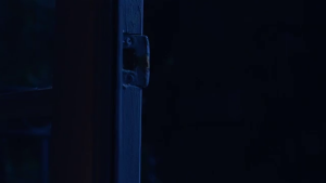340098330faea9aeef87c61af67fd441.png