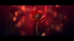 5a5be4896adb5d05803be5a4c32f3ba2.png