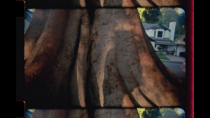 387849973eb72d93e8239cd55a5e2a19.png