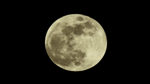 d4c3adf517fb8cea24a308e84b386757.png