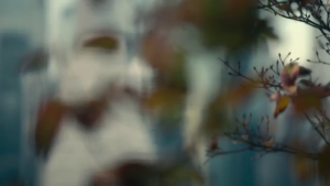 dc20a23ff9a670821cd7621490c7fa0c.png