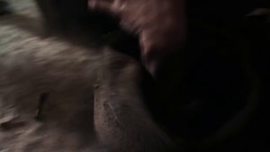09669d22bca023c8ec9f148c3290ba68.png