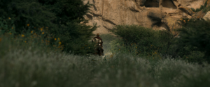 d409a544b1229666bb36619bee811b46.png