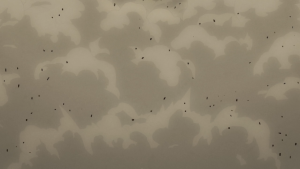 633ddcd4d4a711861bc6c636de99e219.png