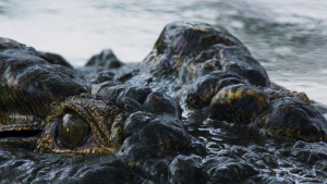 868b8aab156ca020e5587795c40bff3c.png