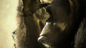 b09392ec646e8aafb04574aff6906d00.png