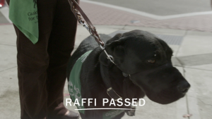 eaf8f16696206b36a64090c06d05eb5d.png