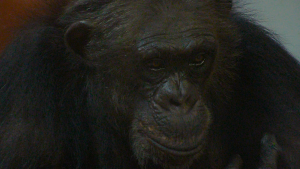 f6b49c2b7388d5e97de624187e76a7d7.png