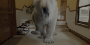 803978cb613bc927d2177a190e73fdfa.png