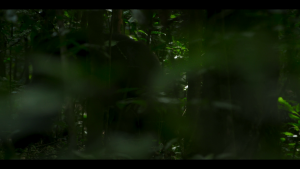 966a94a0442c8cd28f870ec4376e514c.png