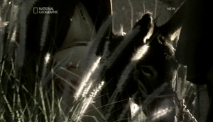 12602b2488710e33ead8cd7716d8f70a.png
