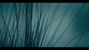 321c8914e58b2184b06be0206c006367.png