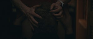 4b6294c6c247c2e48f5c33da3ae4a0b9.png
